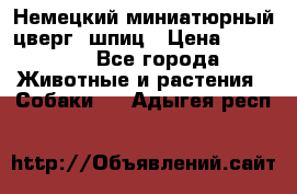 Немецкий миниатюрный(цверг) шпиц › Цена ­ 50 000 - Все города Животные и растения » Собаки   . Адыгея респ.
